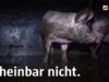 Alles Bio – alles gut?