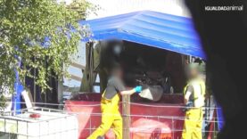 ASFIXIADAS Y APALEADAS: NUEVA INVESTIGACIÓN DE IGUALDAD ANIMAL