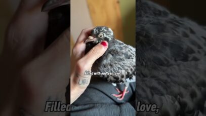 Can you see the difference?