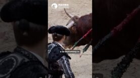 ESTE ES EL MALTRATO ANIMAL DEL GOBIERNO DE MORENO BONILLA EN ANDALUCÍA