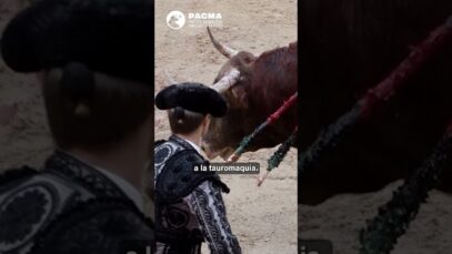 ESTE ES EL MALTRATO ANIMAL DEL GOBIERNO DE MORENO BONILLA EN ANDALUCÍA