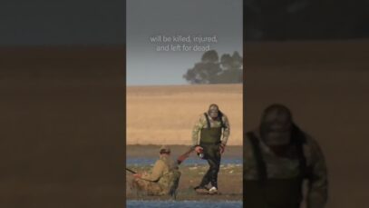 How is this still legal? : Duck shooting