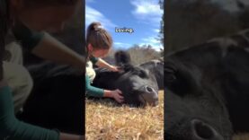 This is what the world calls “Food”