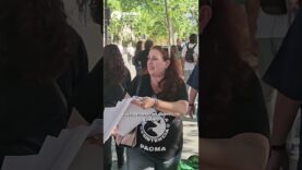 PACMA lucha en Sevilla contra la explotación de caballos para el turismo: “Tira tú del puto carro”