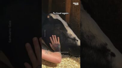 She died with a name, not a number