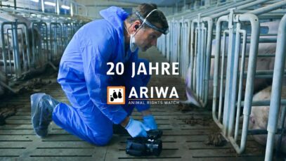 Zwei Jahrzehnte Tierrechtsarbeit: Die Geschichte von ARIWA – Animal Rights Watch