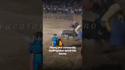 A terrified bull set up to suffer.
