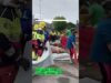 43 CERDOS MURIERON EN EL ACCIDENTE. LOS SUPERVIVIENTES FUERON AL MATADERO