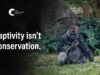 Animals kept in cages for ‘conservation’ | Melbourne Zoo