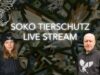 Die Ziegenfabrik | LIVESTREAM | SOKO Tierschutz e.V.