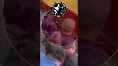 El activista Peter Janssen salta al ruedo en la plaza de toros de Granada