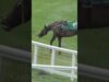 Killed from jumps racing this mornng in Warrnambool