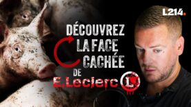 La face cachée de E.Leclerc
