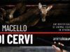 Macello di cervi: un’investigazione di Animal Equality in Spagna.
