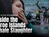 What Is the Grindadráp? Inside the Faroe Islands Whale Slaughter