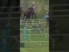 Erased footage of racehorse Sir Atlas breaking down on track