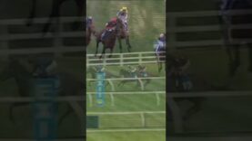 Erased footage of racehorse Sir Atlas breaking down on track