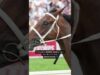Jumps racing horse breaking his neck in Victoria