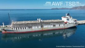 The global animal transport fleet