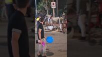 UN CABALLO CAE AL SUELO DESFALLECIDO EN LA FERIA DE LA LÍNEA DE LA CONCEPCIÓN (CÁDIZ).
