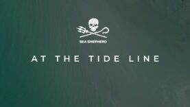 At The Tide Line | A Sea Shepherd Australia documentary