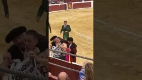EL ACTIVISTA PETER JANSSEN ES GOLPEADO POR TOREROS EN UNA PLAZA DE TOROS