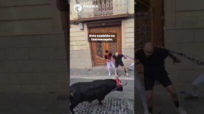 EL TORICO DE LA CUERDA DE CHIVA: HOSTIGAMIENTO Y AGOTAMIENTO POR DIVERSIÓN