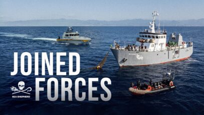 Joined Forces To Defend The Med