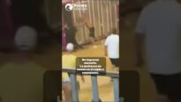 NO PODÍA NI LEVANTARSE: LA CRUELDAD TAURINA EN SILLA (VALENCIA)