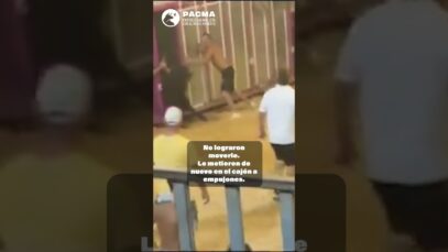 NO PODÍA NI LEVANTARSE: LA CRUELDAD TAURINA EN SILLA (VALENCIA)
