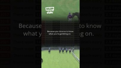 Racing won’t tell you how many racehorses are killed from racing. But you deserve to know.