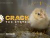 BREAKING INVESTIGATION: Newborn Animals Ground Up Alive