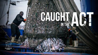 Inside the Arrest of THREE Illegal Fishing Vessels