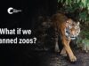 What If We Banned Zoos? | ABC Radio Interview